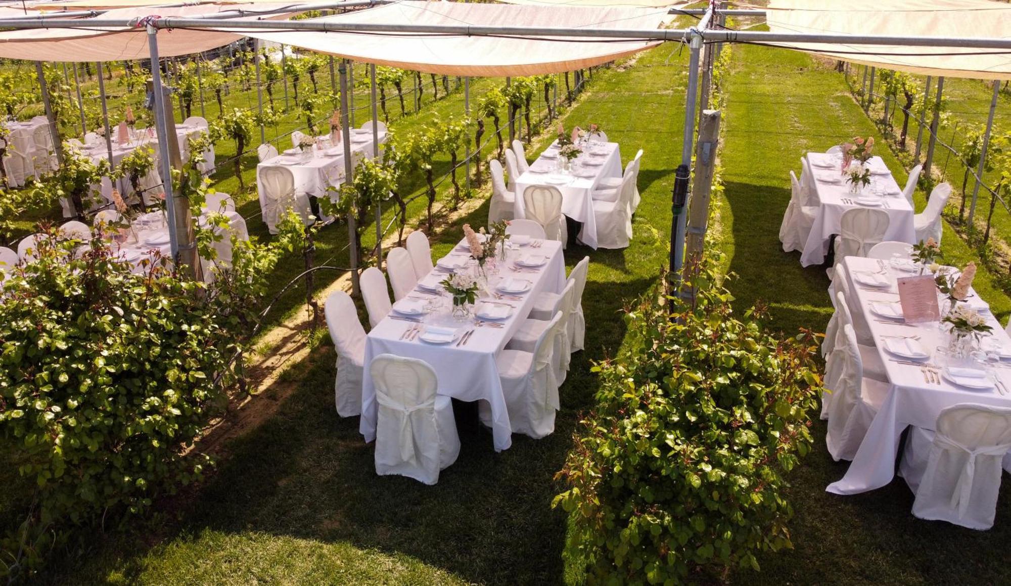 Podere Riosto Cantina&Agriturismo Pianoro Buitenkant foto