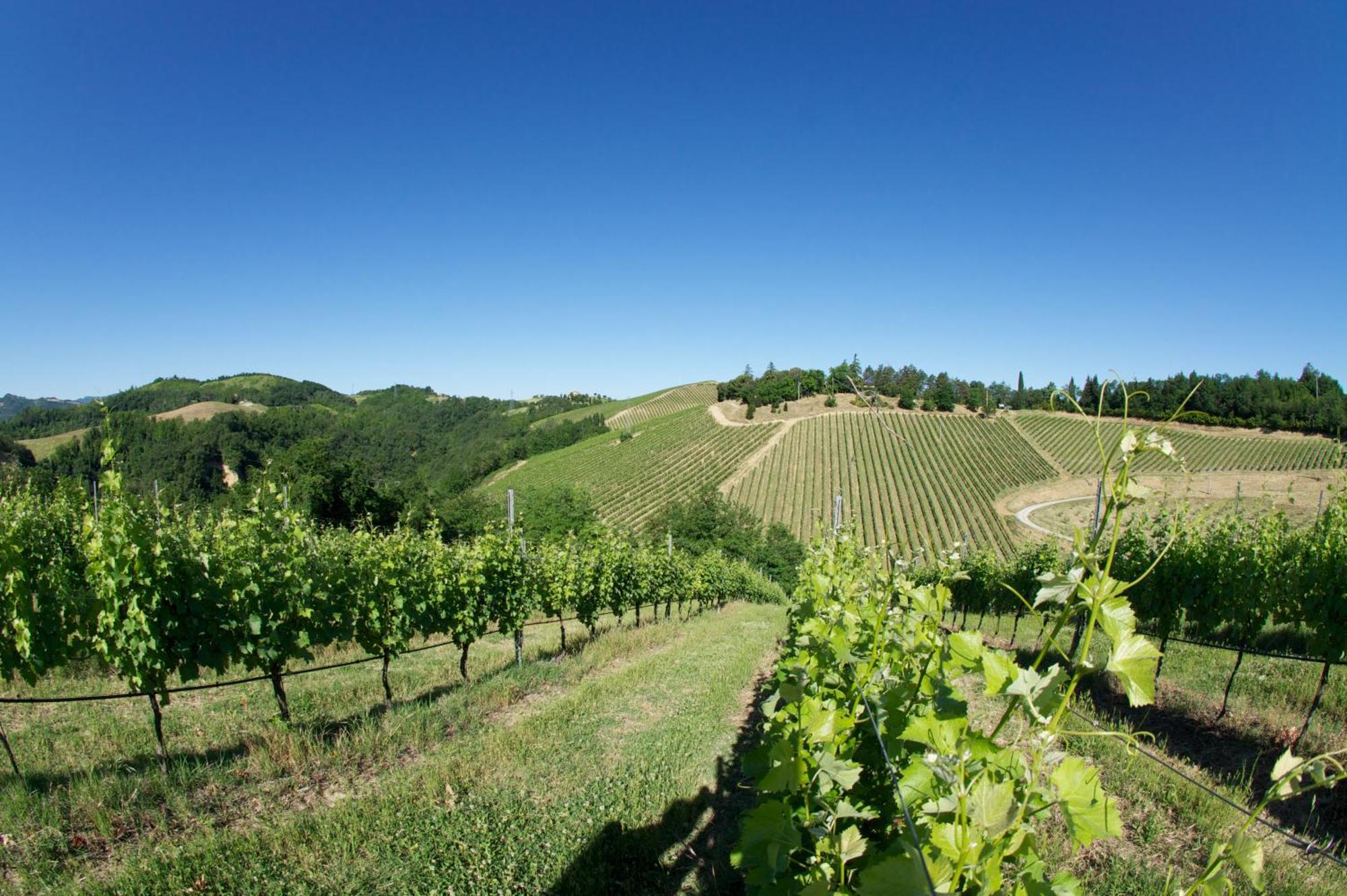 Podere Riosto Cantina&Agriturismo Pianoro Buitenkant foto