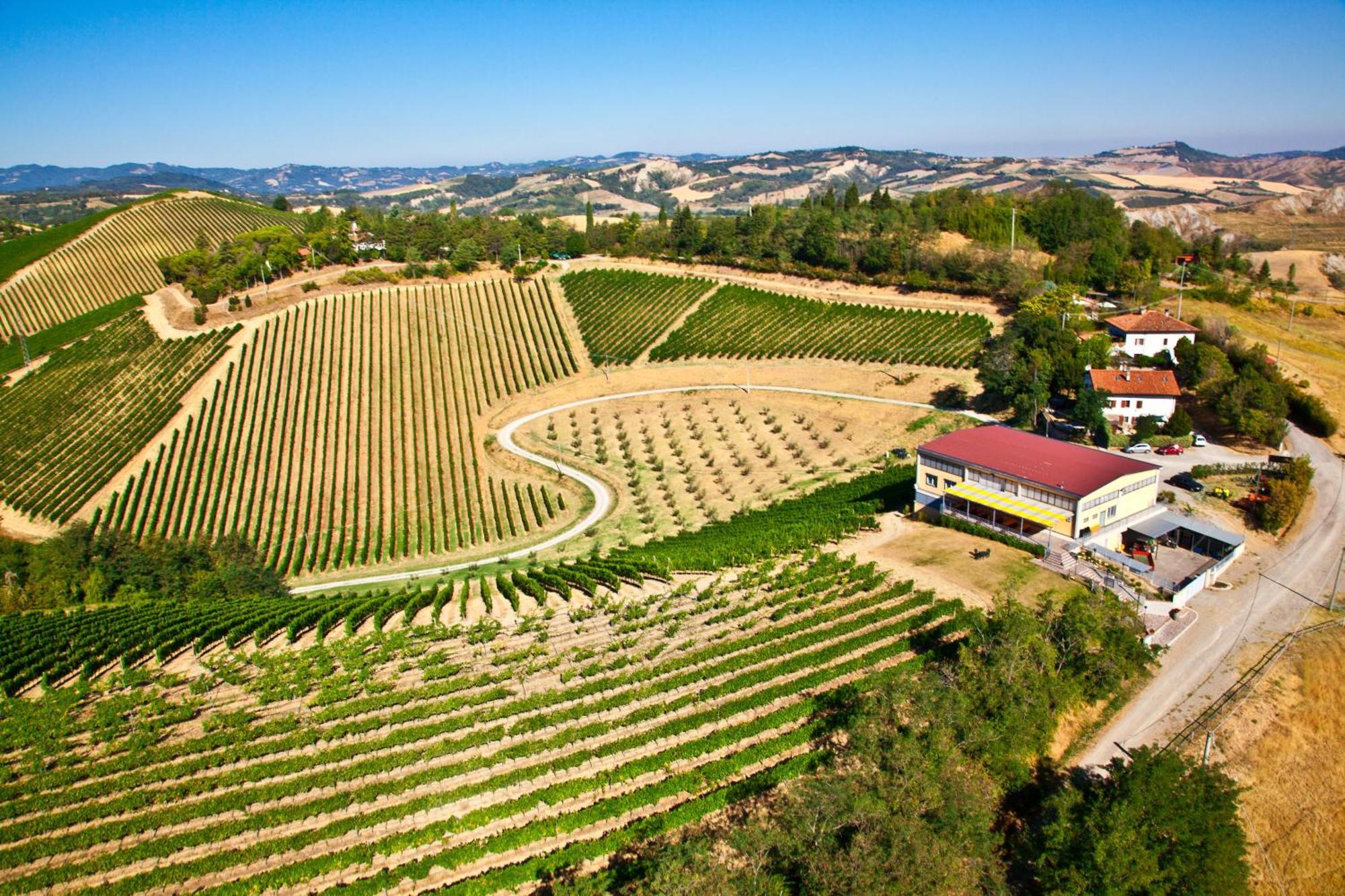 Podere Riosto Cantina&Agriturismo Pianoro Buitenkant foto